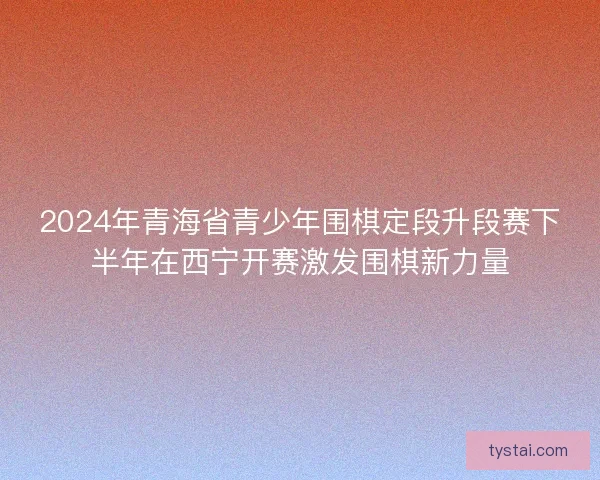 2024年青海省青少年围棋定段升段赛下半年在西宁开赛激发围棋新力量